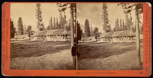 Big Tree Station, Mariposa Grove